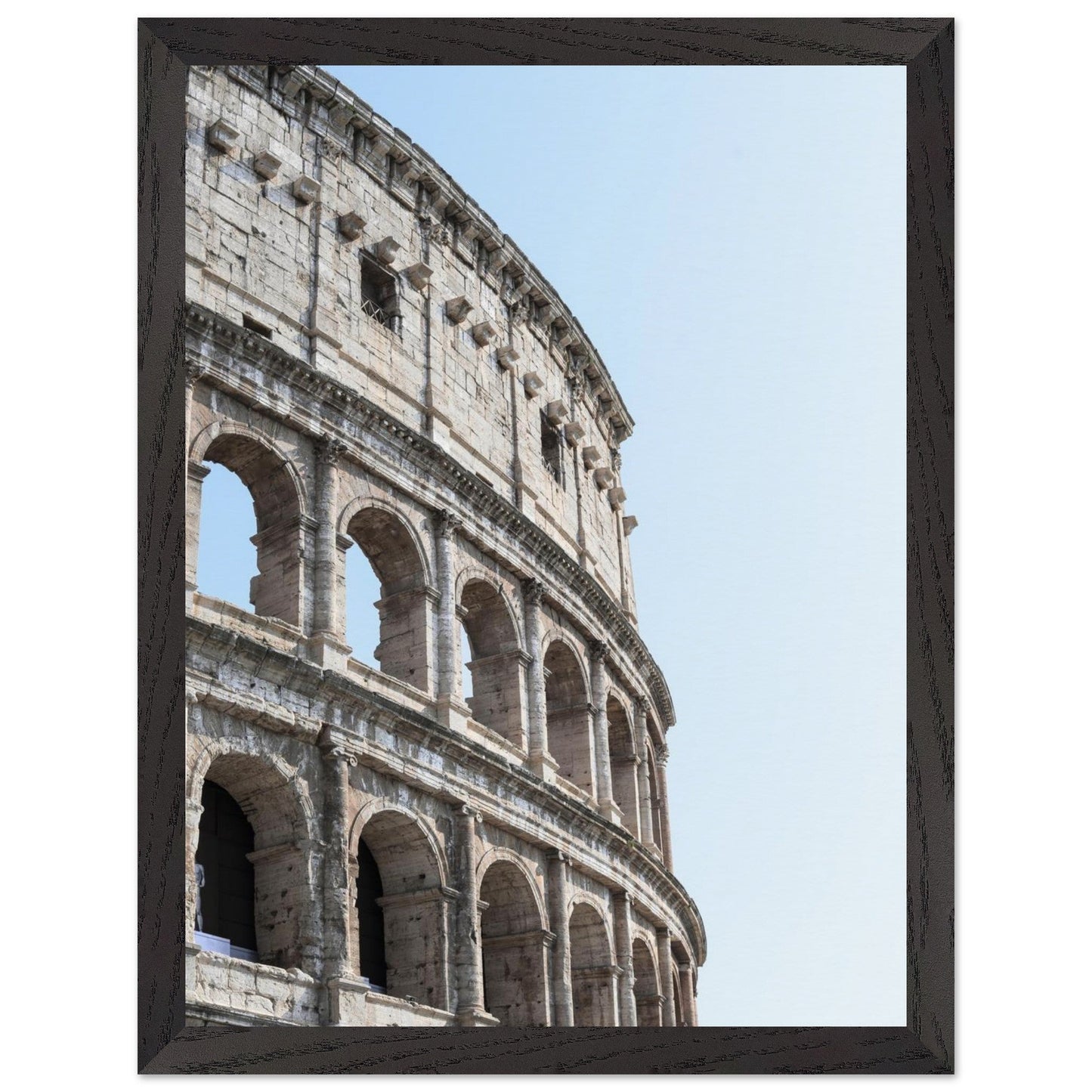 Colosseumproduct_typeMy Store03d6c423 - dab5 - 4e4c - 8058 - 340f6e7114ddChristianSosa.art
