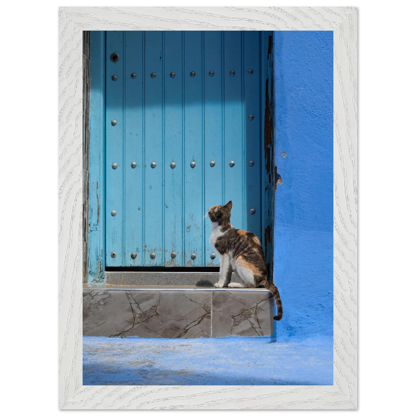 Knock Knockproduct_type#My Store0a320860 - b2b5 - 4b6e - 96a9 - 4ee133425b2dChristianSosa.art