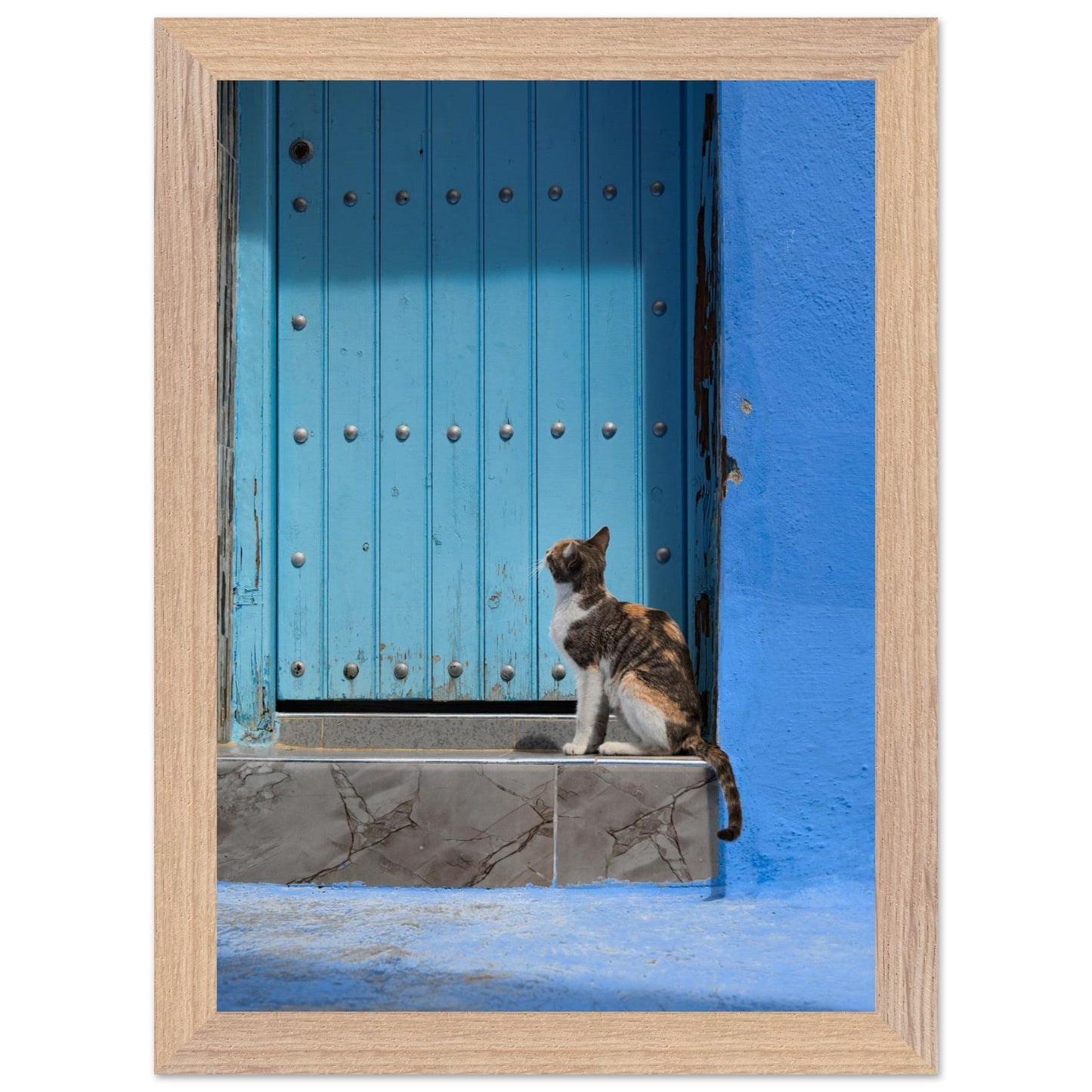 Knock Knockproduct_type#My Store3c66ab52 - 1c92 - 4ee2 - 810e - 722c3e28d532ChristianSosa.art