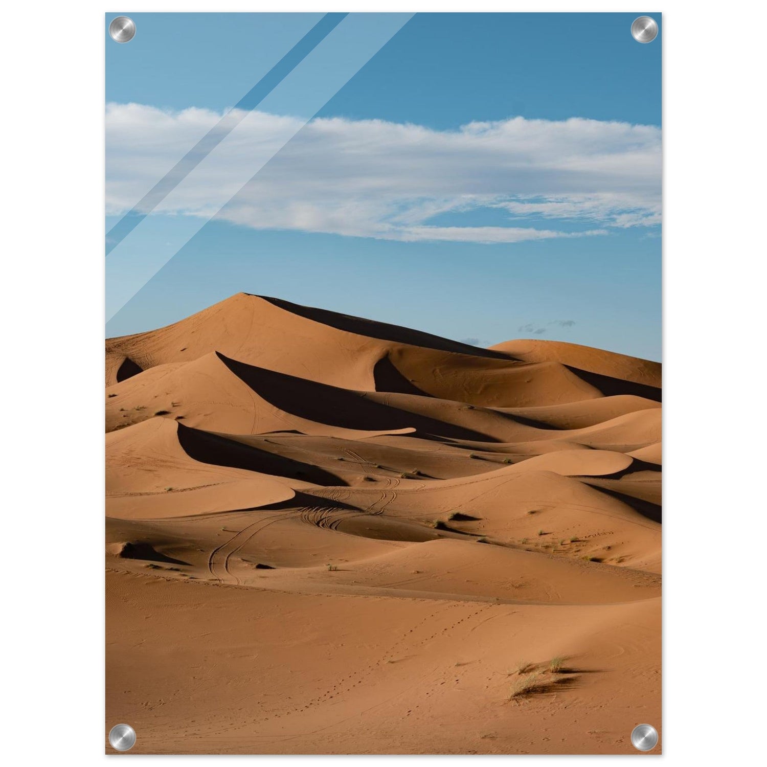 Acrylic Prints - ChristianSosa.art