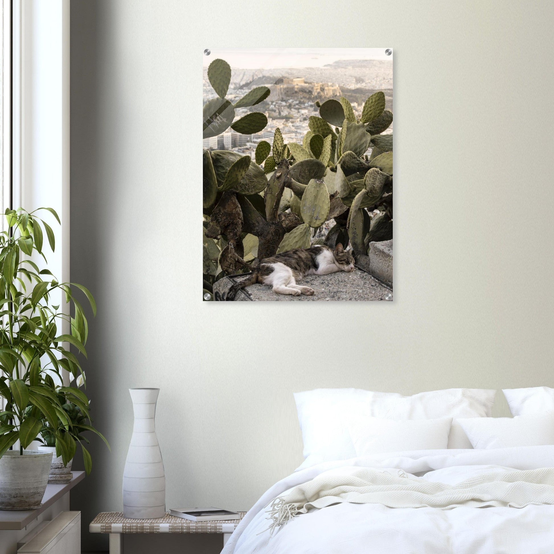 Cat Napproduct_typeMy Store9bc9f73c - d4be - 4094 - a32f - 18362398b7d3ChristianSosa.art