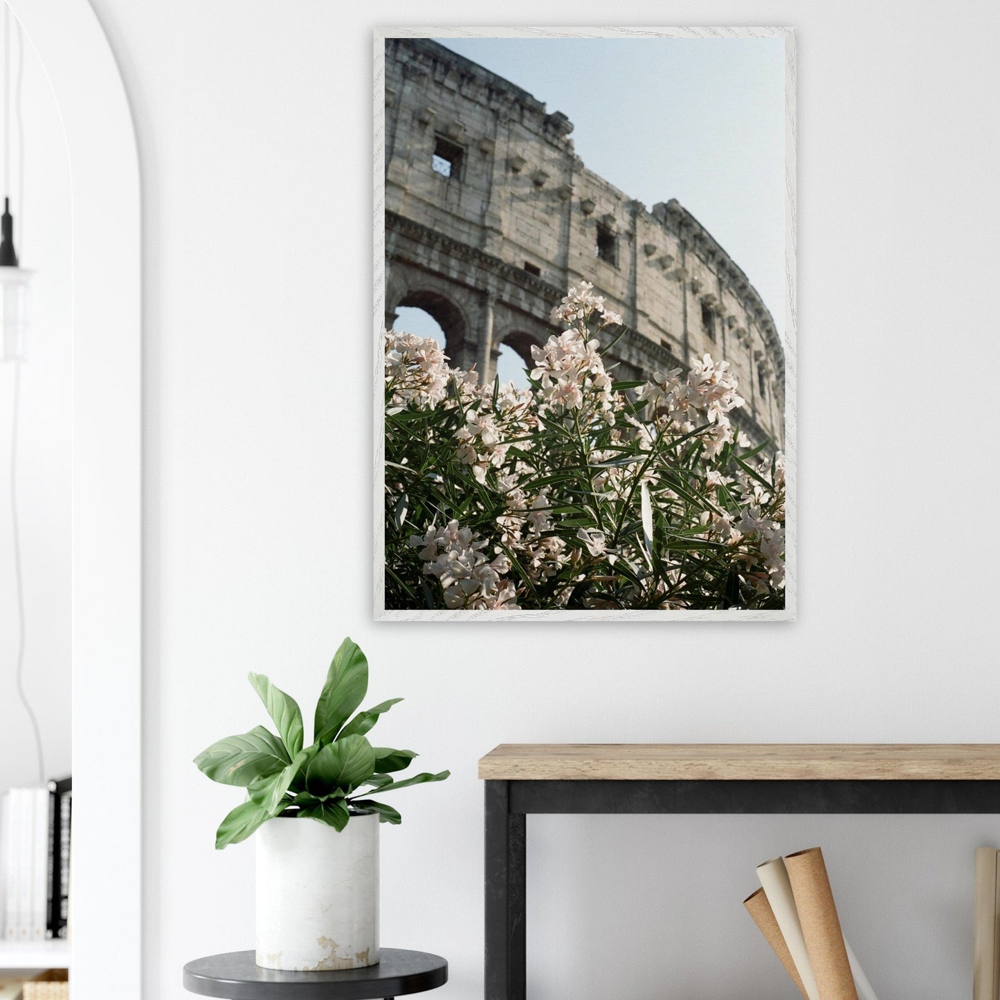 Colosseum Flower Filmproduct_typeMy Storee05ccd35 - b5db - 40b1 - 8ccb - 38b451205d18ChristianSosa.art