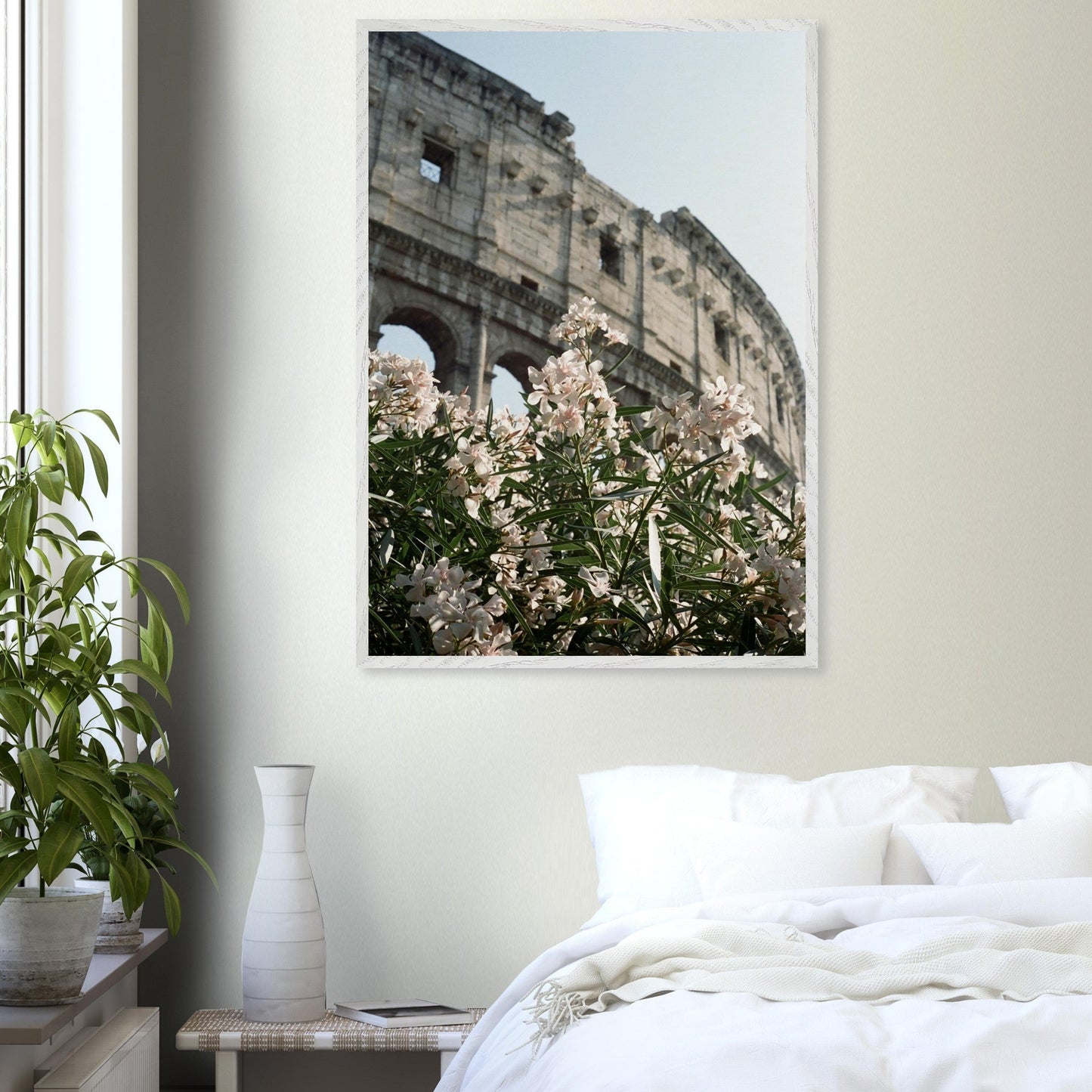 Colosseum Flower Filmproduct_typeMy Store33ae7739 - afed - 48c3 - befe - 29b34aacc7a8ChristianSosa.art
