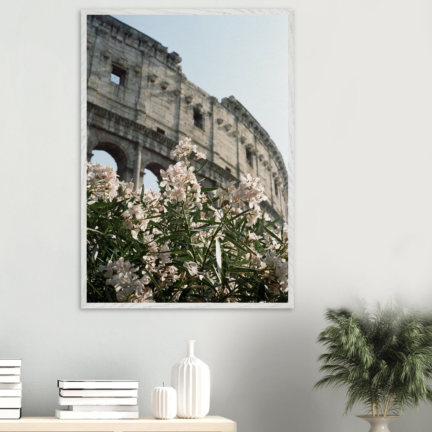 Colosseum Flower Filmproduct_typeMy Store7e221b2b - 26ee - 4572 - a708 - 9f115cdc17ceChristianSosa.art
