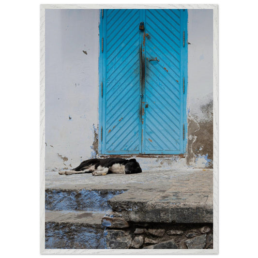 Dog Daysproduct_type#My Store1da7af86 - d4b9 - 4fb0 - 9e87 - e491fe43c17fChristianSosa.art