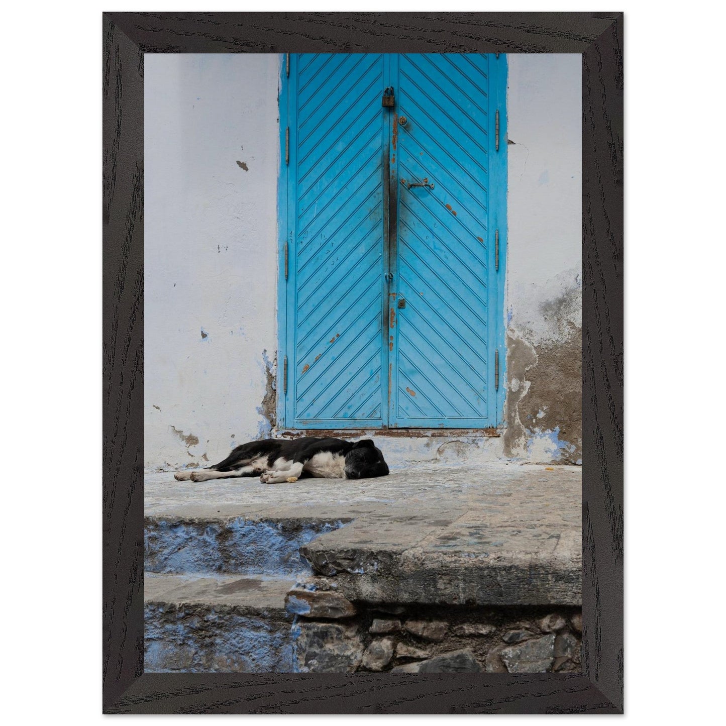 Dog Daysproduct_type#My Store6ceb5d6b - e022 - 489f - 8383 - 80523a75da14ChristianSosa.art
