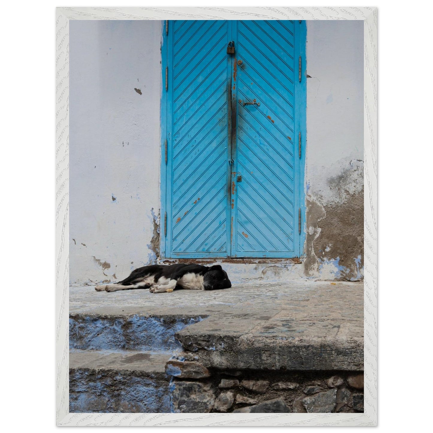 Dog Daysproduct_type#My Storeaedc685b - 45d9 - 43c3 - b683 - 1d13f4885a46ChristianSosa.art