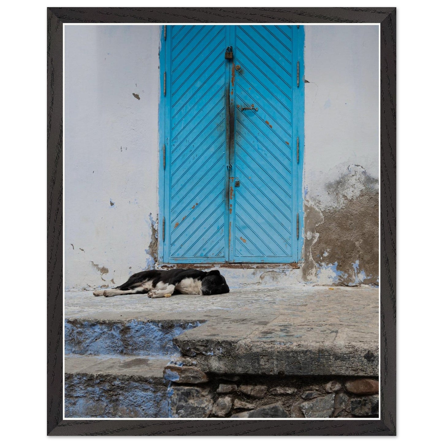 Dog Daysproduct_type#My Store07ad6a40 - 4af7 - 4a03 - b052 - fd5f5d7394cfChristianSosa.art