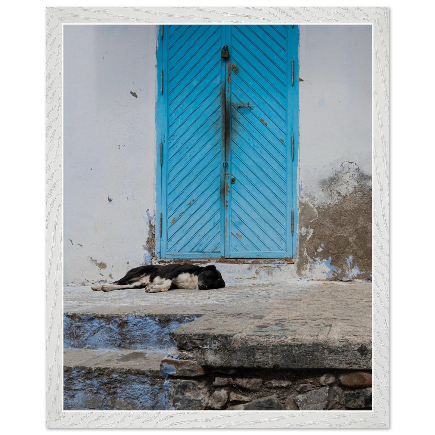 Dog Daysproduct_type#My Store421d4ca8 - a14b - 4f34 - 981f - 4dc2598a0de0ChristianSosa.art