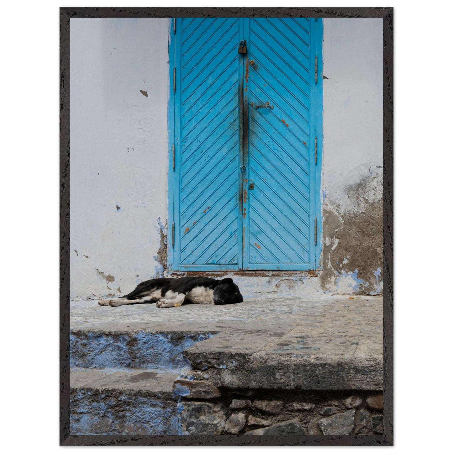 Dog Daysproduct_type#My Stored97a2539 - a410 - 4a21 - b962 - 99147476e244ChristianSosa.art