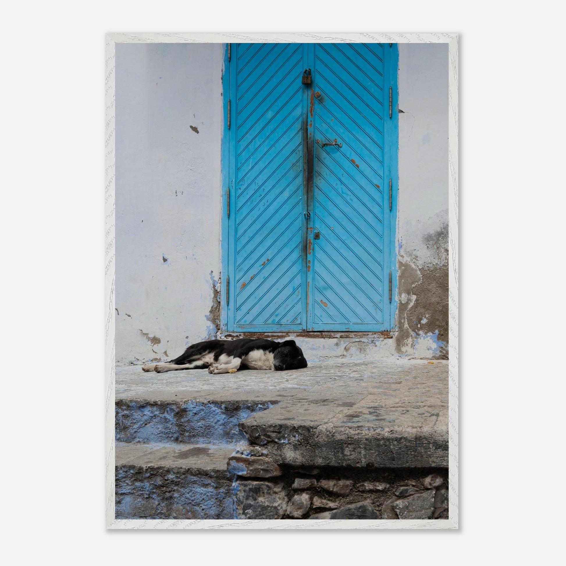 Dog Daysproduct_type#My Storee526489d - 8b04 - 4add - 94cc - 10cd0a2d5bc7ChristianSosa.art