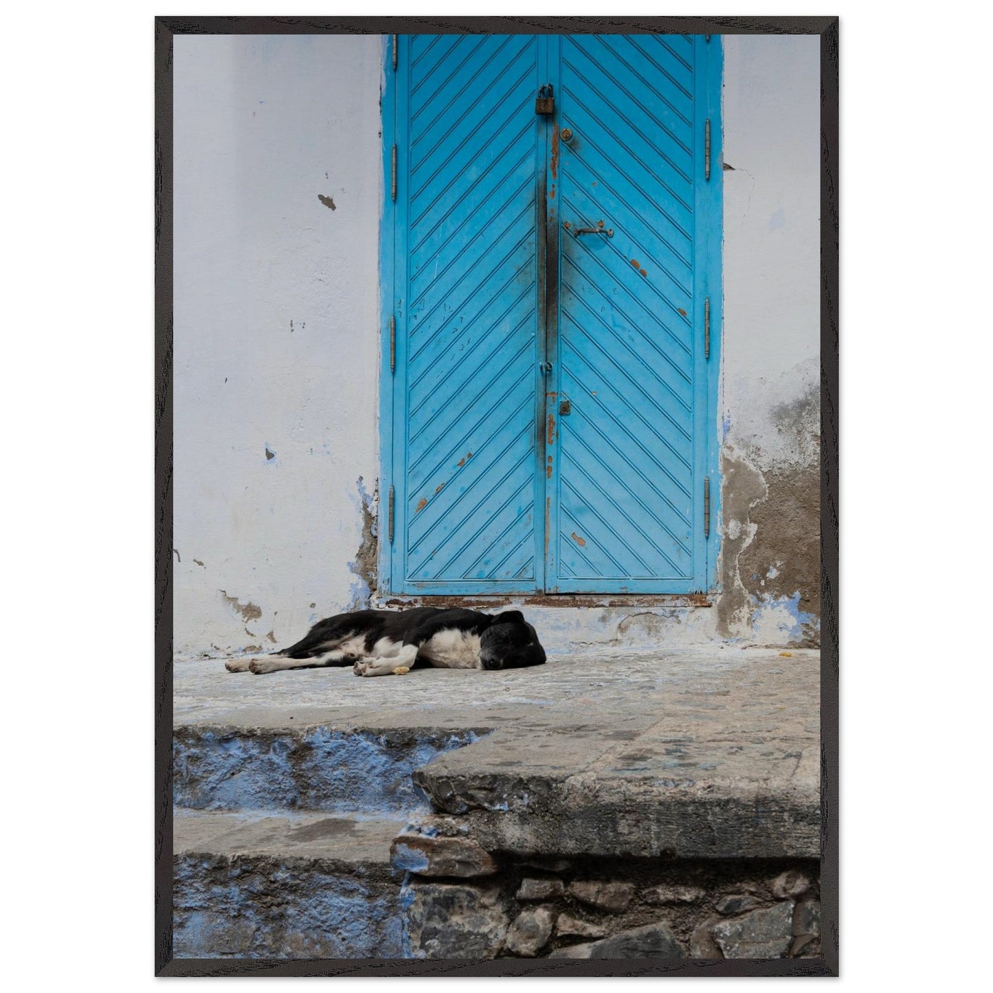 Dog Daysproduct_type#My Storea8d7fa81 - 11d4 - 4445 - b9c1 - b7704ebac4f3ChristianSosa.art