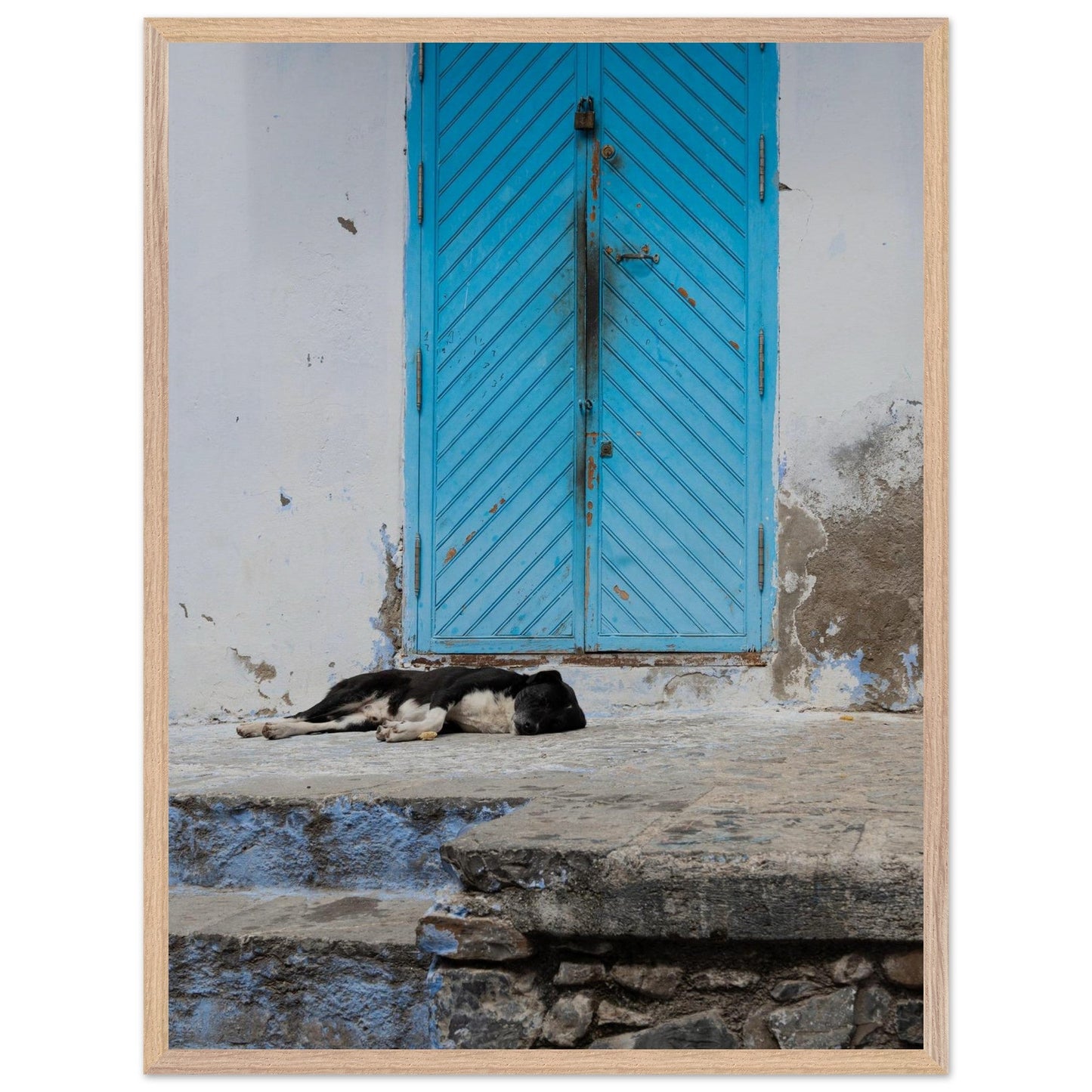 Dog Daysproduct_type#My Store5797a6d4 - 2bca - 4f41 - 9a68 - f16eabb466dcChristianSosa.art