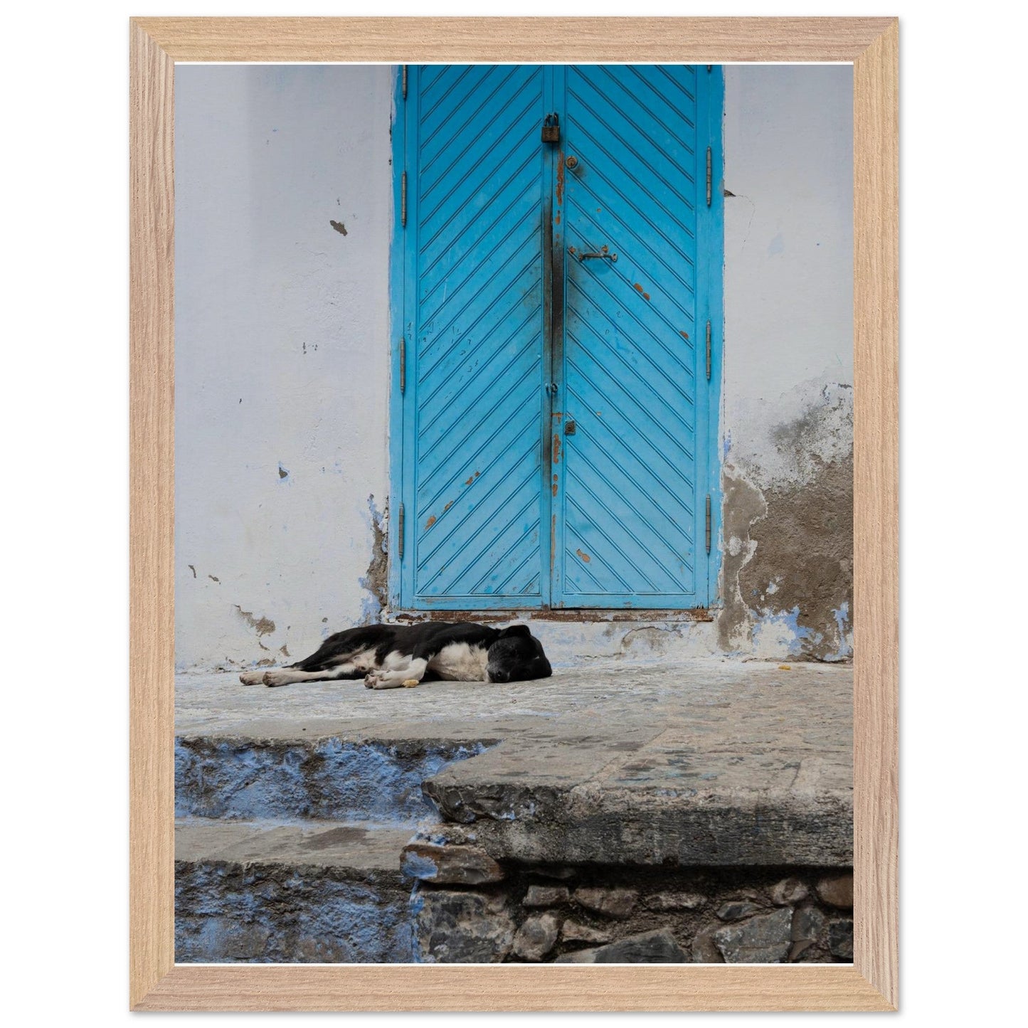 Dog Daysproduct_type#My Store6056cc28 - 0bd6 - 4bd3 - 8299 - f6e3020151ffChristianSosa.art