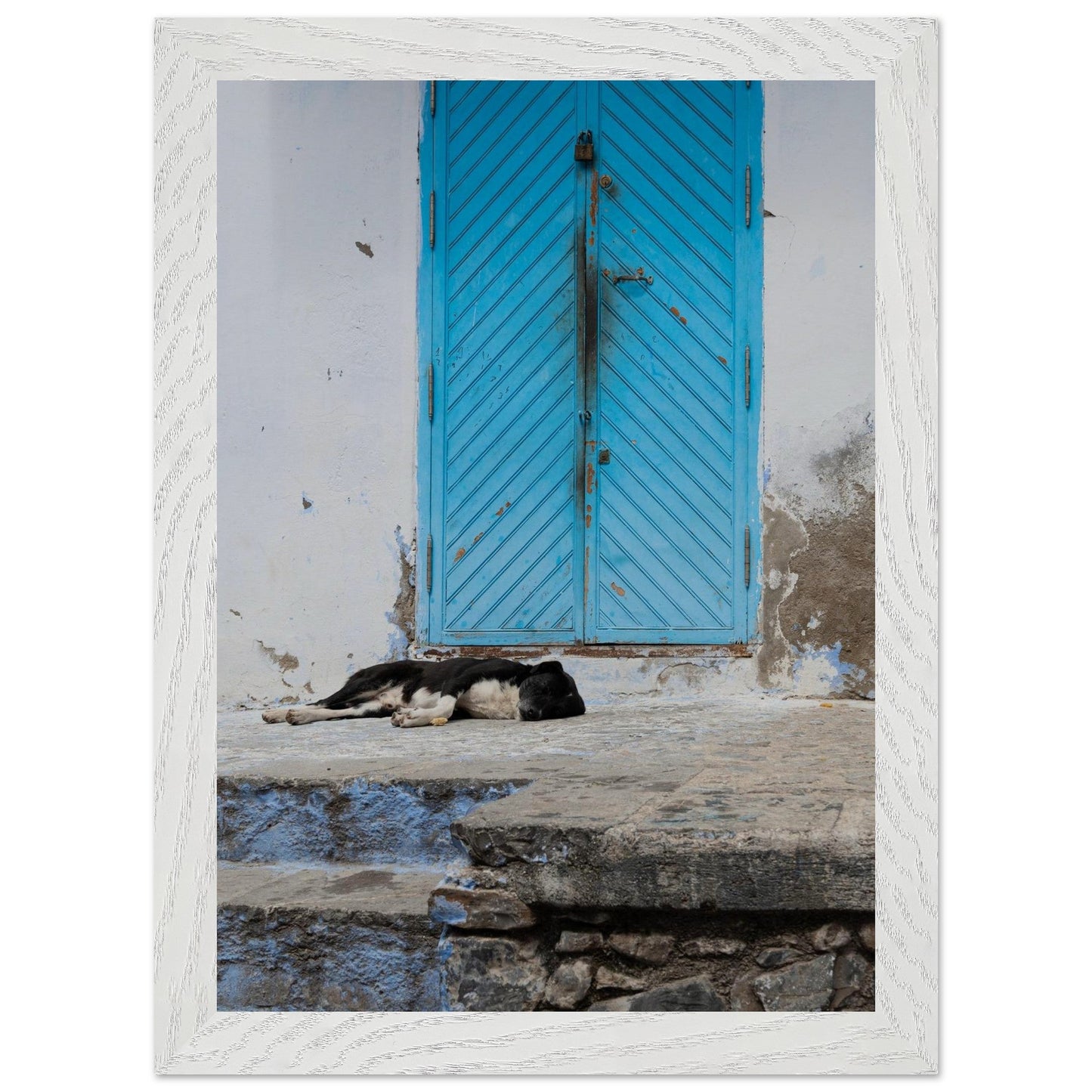 Dog Daysproduct_type#My Storef595c38c - 340e - 430e - 8076 - 29d7e3adbf4bChristianSosa.art