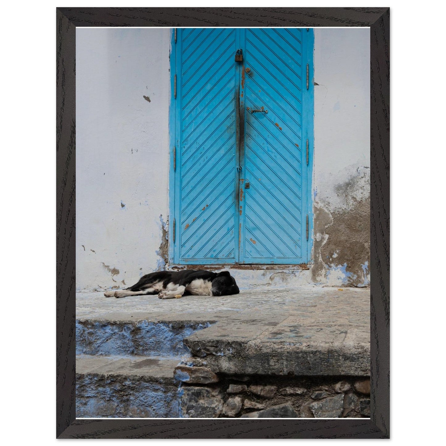 Dog Daysproduct_type#My Store1a466bb1 - f862 - 47e5 - 9449 - 317c29c37ffeChristianSosa.art