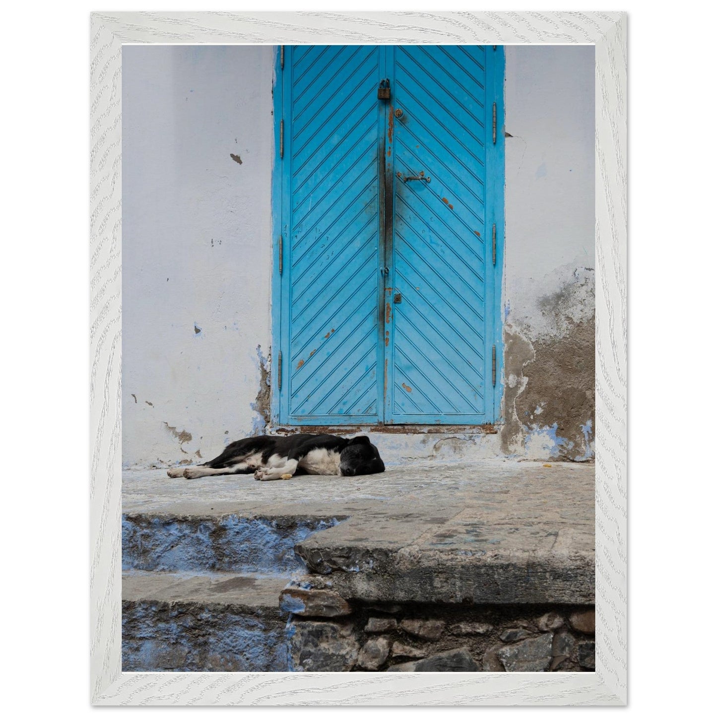 Dog Daysproduct_type#My Store281601da - 80f7 - 48bd - ad35 - 2cf91875e78bChristianSosa.art
