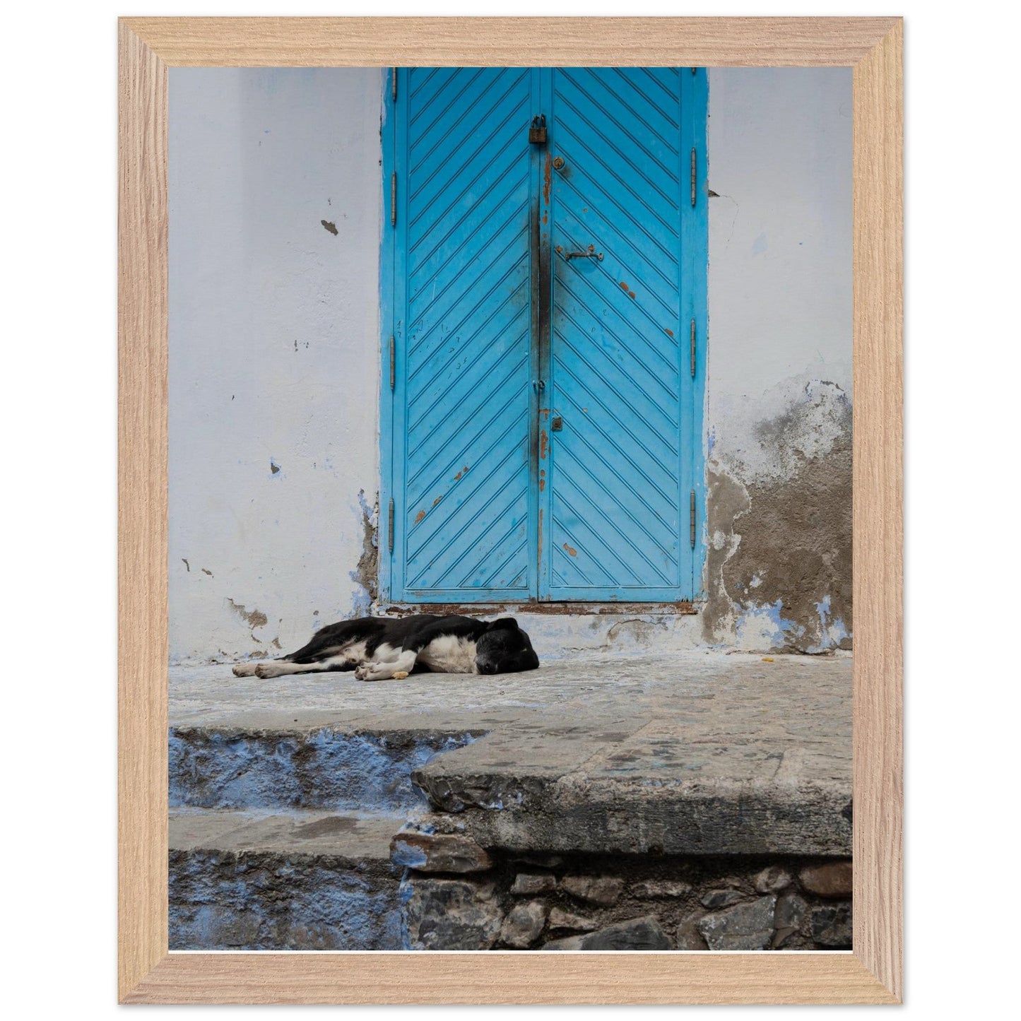 Dog Daysproduct_type#My Store585ee634 - da16 - 4b4b - 88b9 - 9bdc1f7612c3ChristianSosa.art