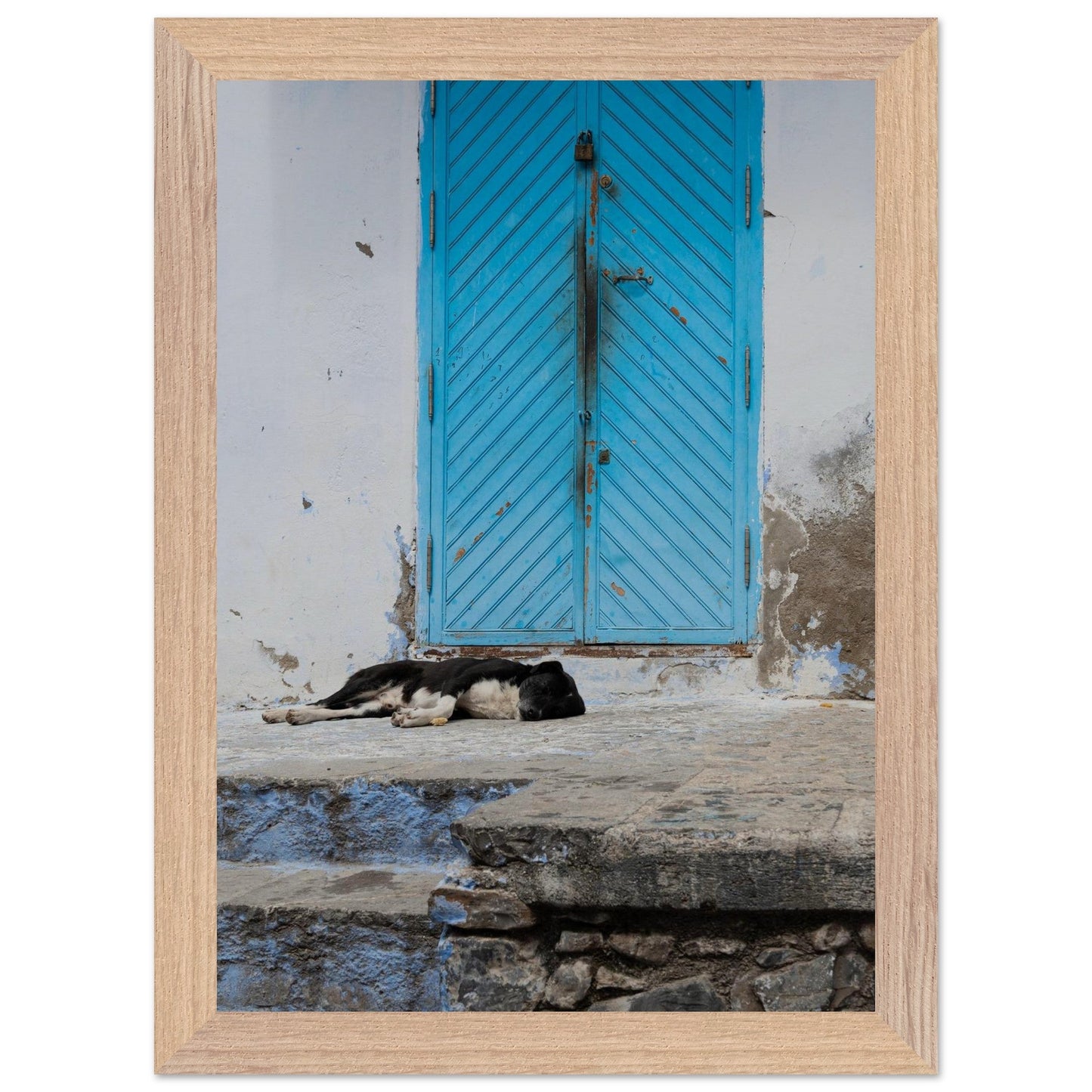 Dog Daysproduct_type#My Store457531c9 - 05a9 - 4492 - 9dfc - 9046c78df262ChristianSosa.art