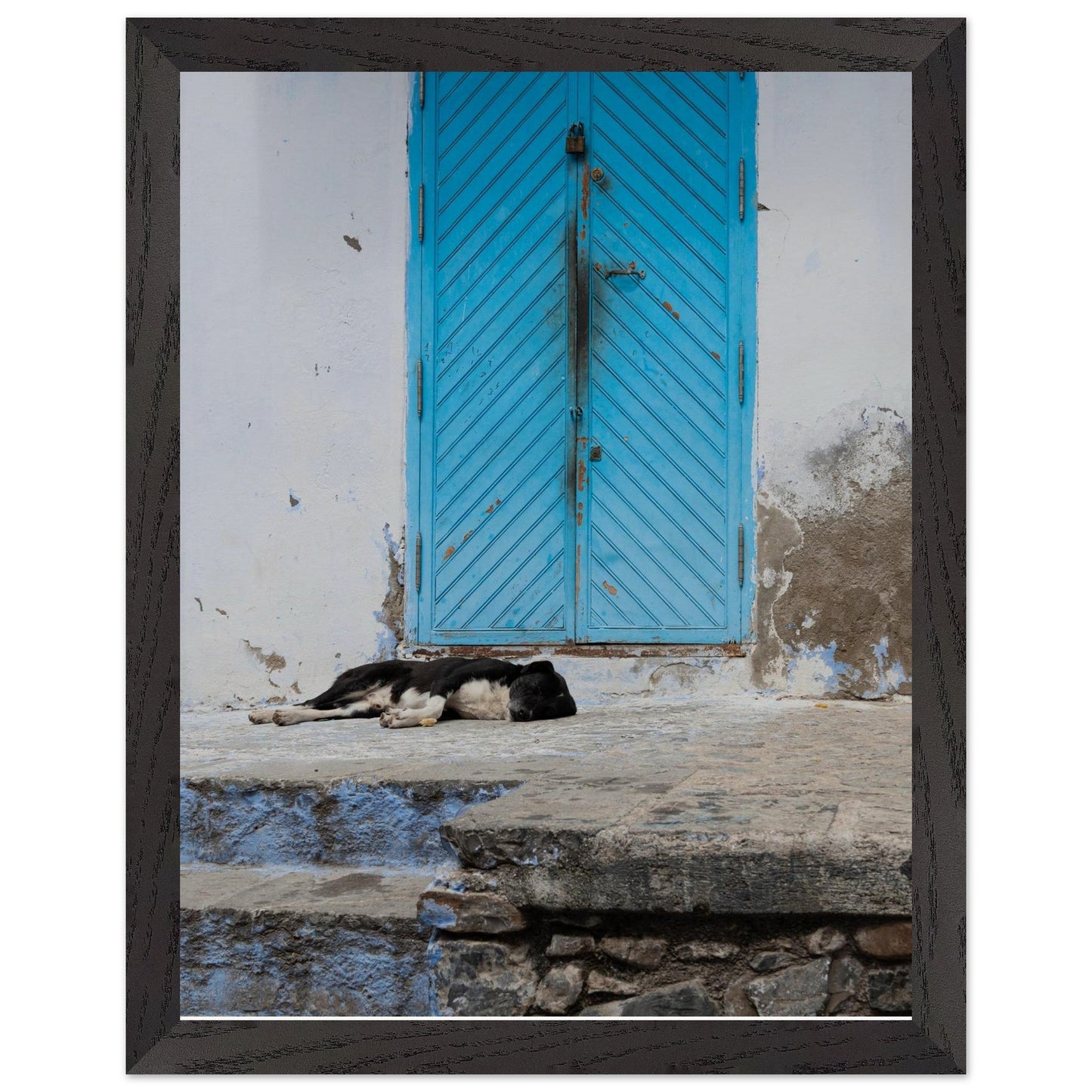 Dog Daysproduct_type#My Store0564ef4d - 51b8 - 45b4 - 9ca4 - bc2e9ba189ddChristianSosa.art