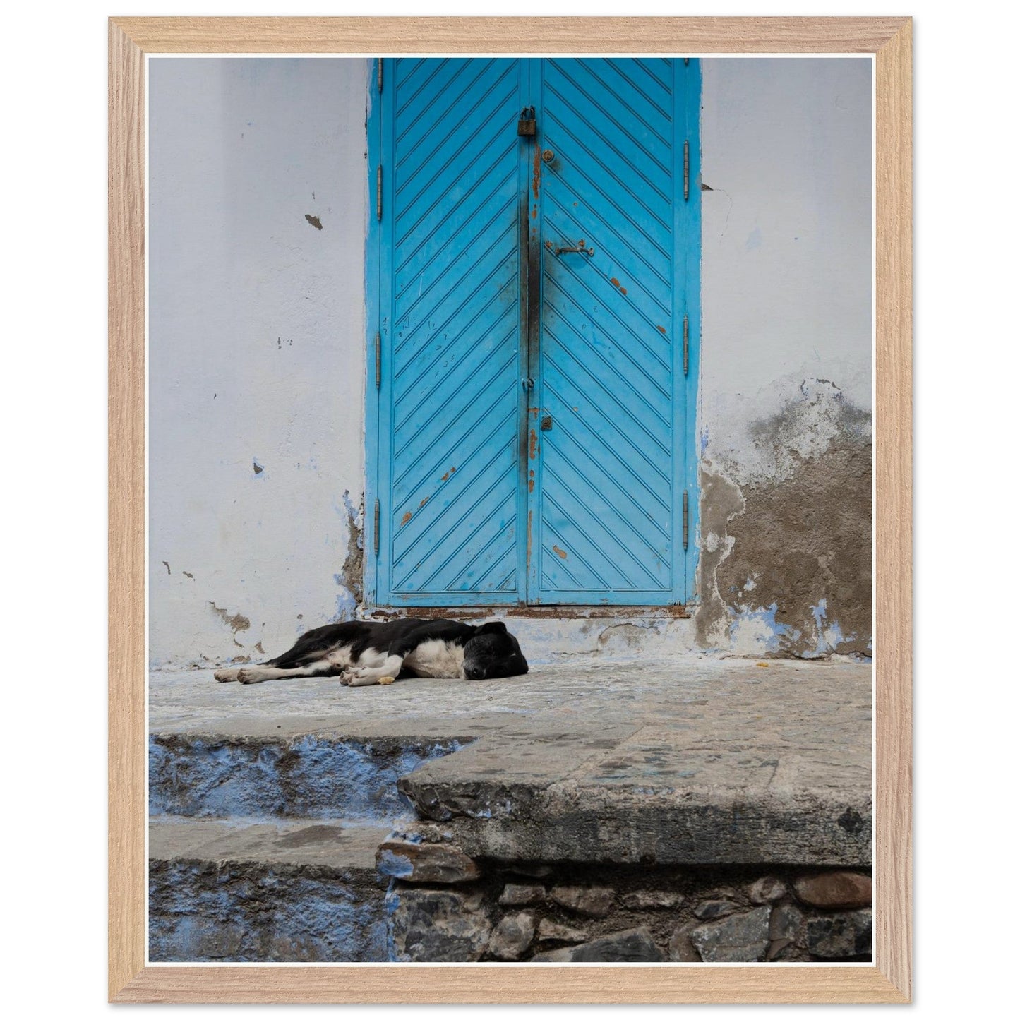 Dog Daysproduct_type#My Store7d9a75f1 - c54d - 41eb - bfe0 - 3b31867b23f5ChristianSosa.art