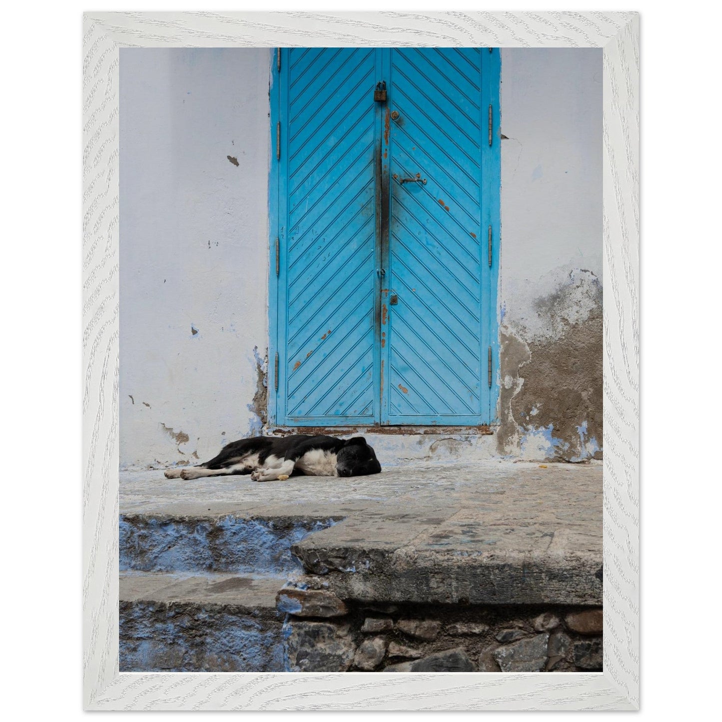 Dog Daysproduct_type#My Store916f659a - 8125 - 4b42 - 9a69 - ee6842974c0bChristianSosa.art