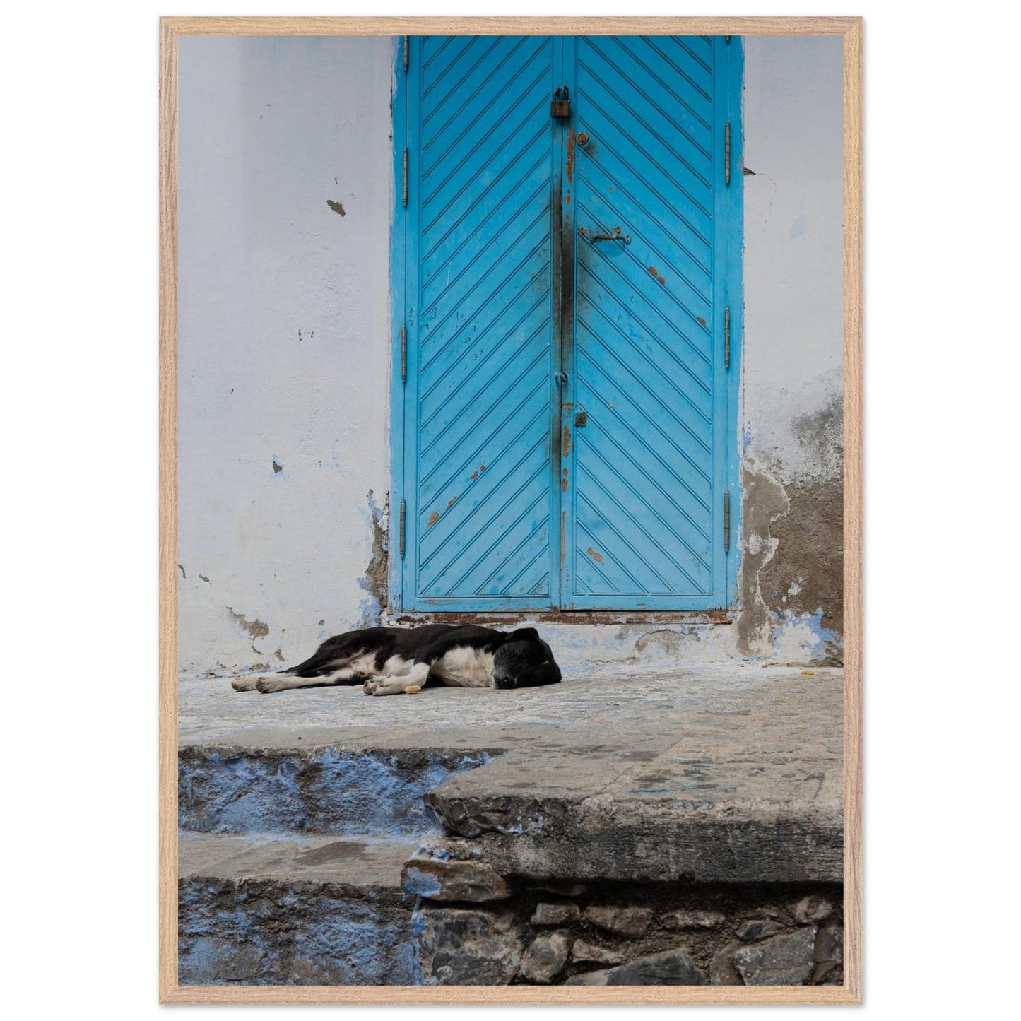 Dog Daysproduct_type#My Store026be766 - 89e3 - 46a7 - 9b1f - 44f232e03fe8ChristianSosa.art