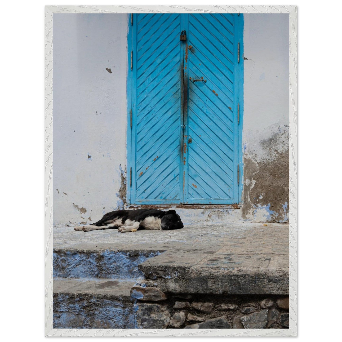 Dog Daysproduct_type#My Store3b87837b - c06e - 460e - 8e1c - bc3eeb4e2ff3ChristianSosa.art