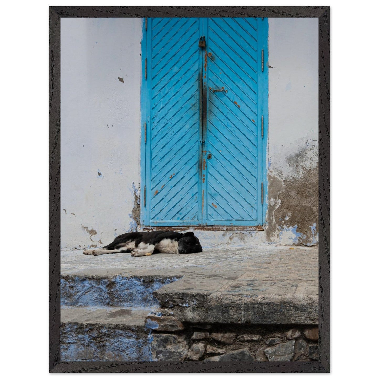 Dog Daysproduct_type#My Storeacdaecb6 - 029a - 4eae - 964f - 1aec8d9ca5d4ChristianSosa.art