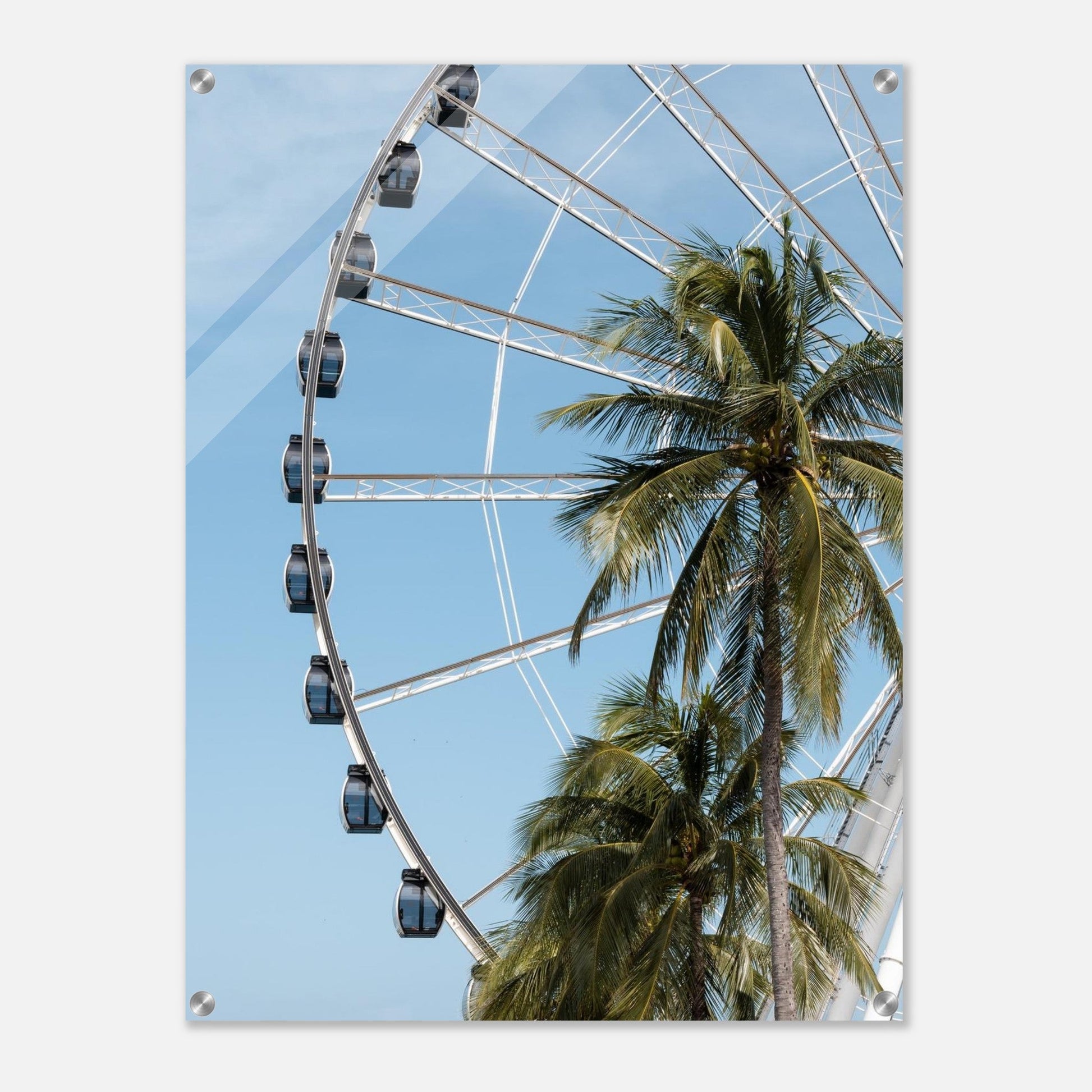 Ferris Palmsproduct_typeMy Storec858579e - 6e05 - 4e8a - ba77 - 98df890e5694ChristianSosa.art