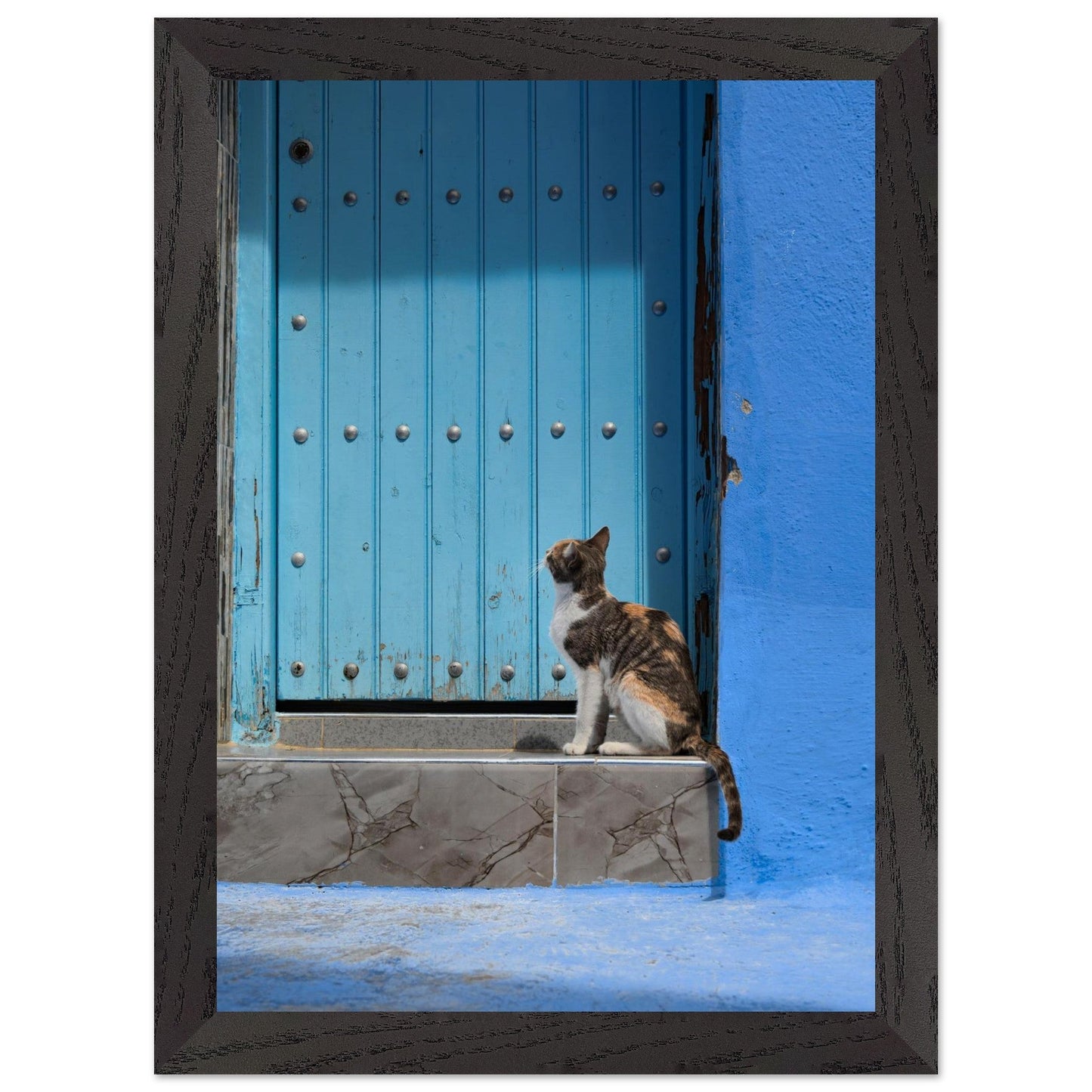 Knock Knockproduct_type#My Store4c7b9802 - b764 - 47e0 - 9185 - 4b5b5526cde8ChristianSosa.art