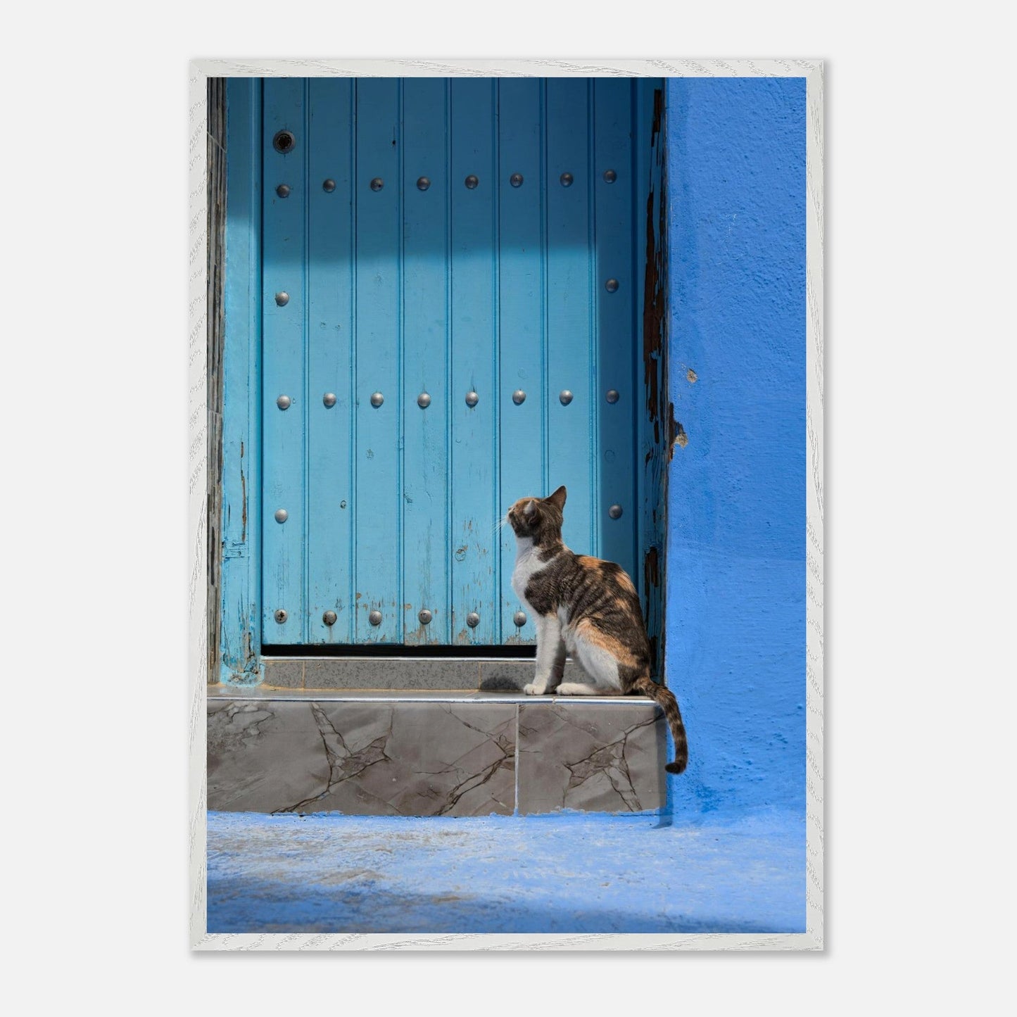 Knock Knockproduct_type#My Store1e1762a6 - a8b7 - 46e7 - 87ea - 44cf8c81813bChristianSosa.art