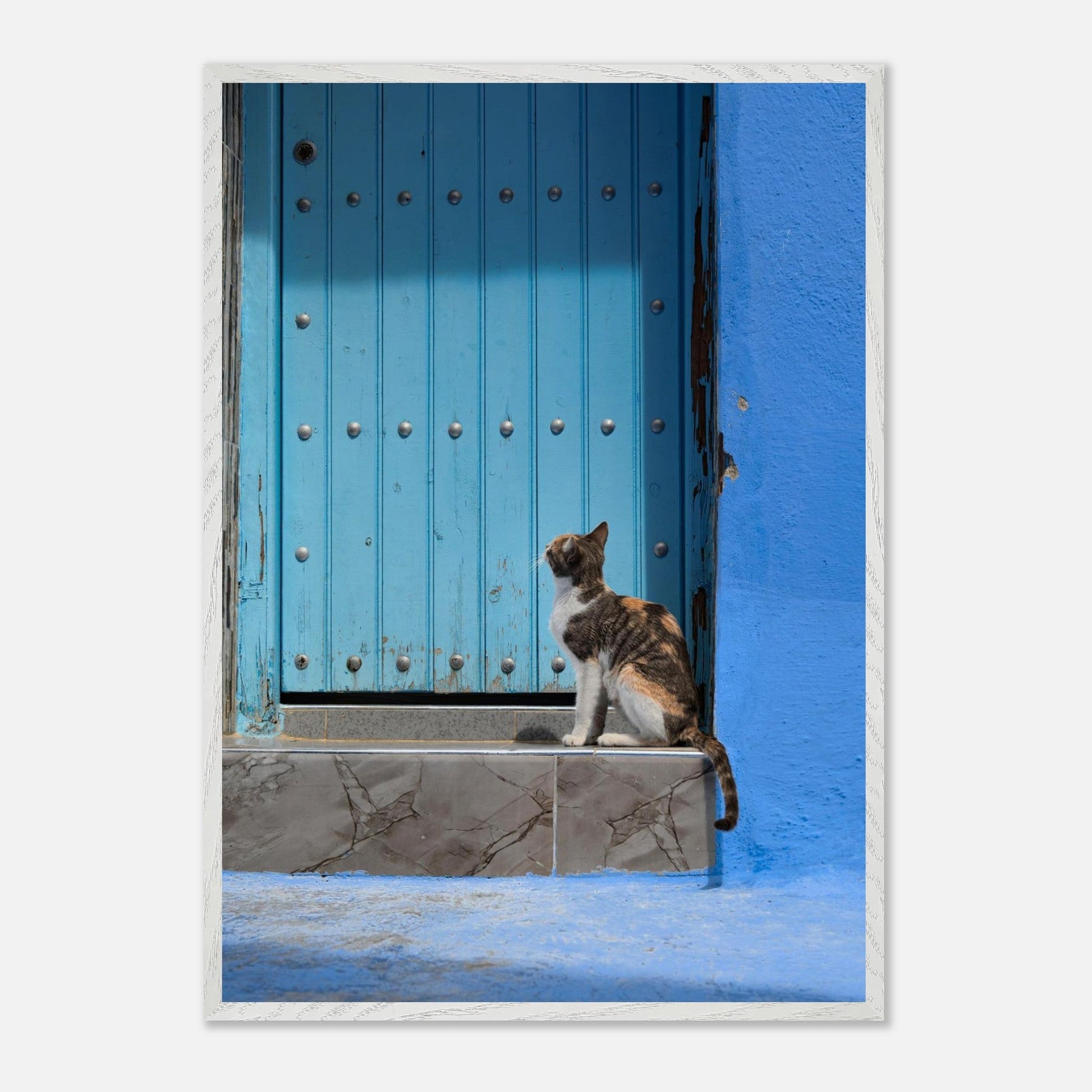 Knock Knockproduct_type#My Store1e1762a6 - a8b7 - 46e7 - 87ea - 44cf8c81813bChristianSosa.art