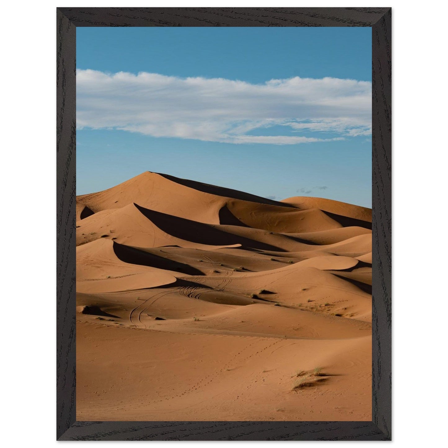 Sahara Sandsproduct_typeMy Storefbfbe364 - 725b - 4403 - b9d7 - e83a5a7e33acChristianSosa.art