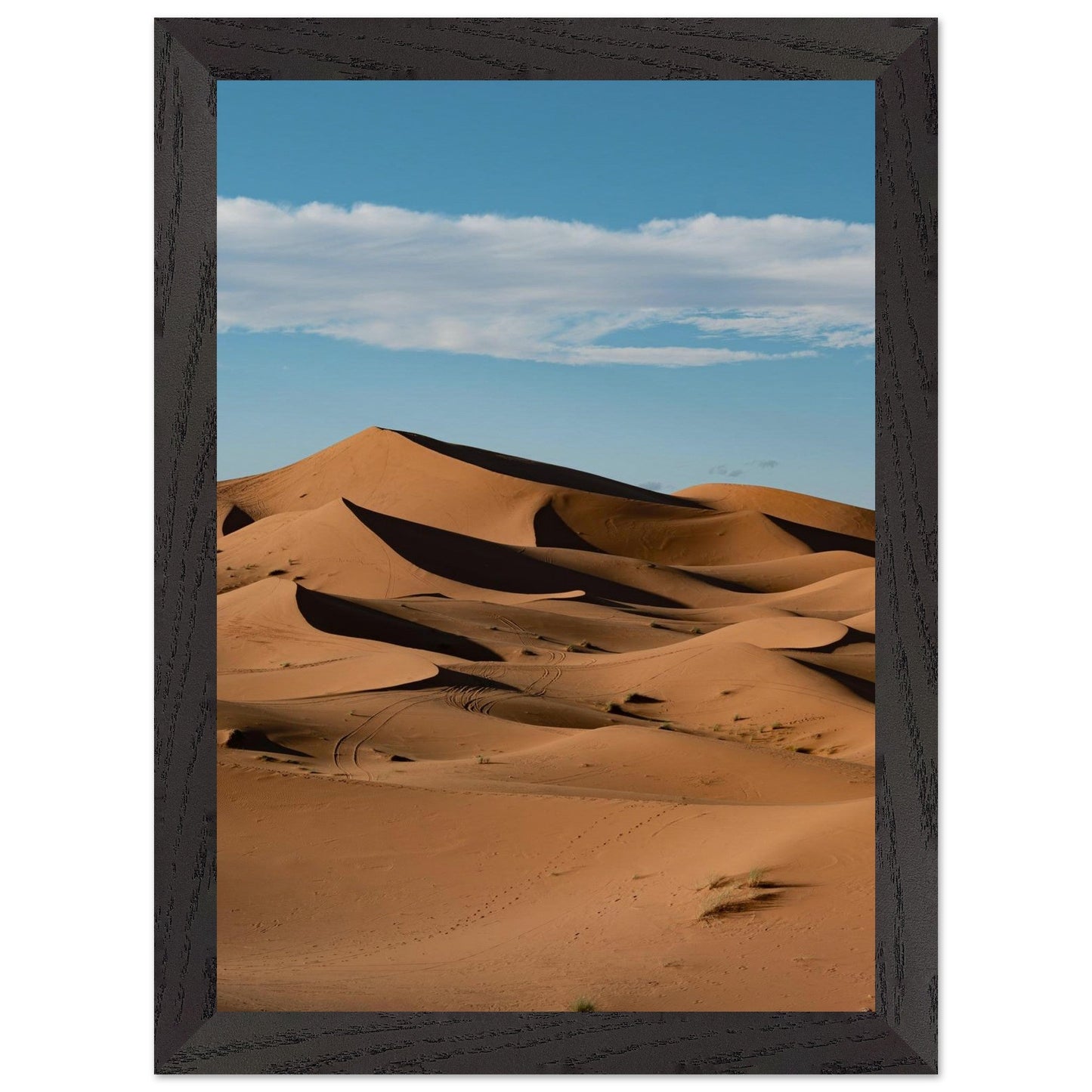 Sahara Sandsproduct_typeMy Store79b38c34 - 2c43 - 4bc5 - 927e - 0a331f8f86c9ChristianSosa.art
