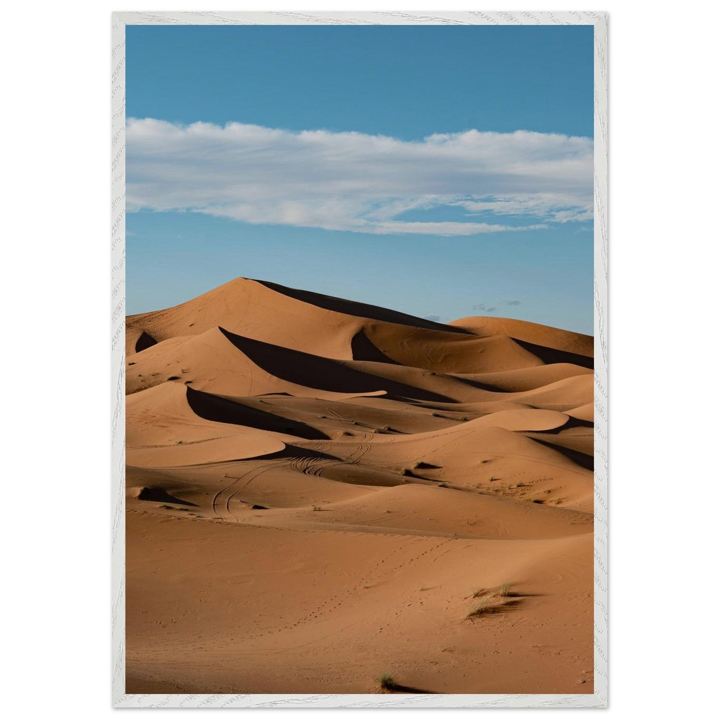 Sahara Sandsproduct_typeMy Storeb77fba2d - dcd1 - 4fa0 - b1b2 - f22d2b68db84ChristianSosa.art
