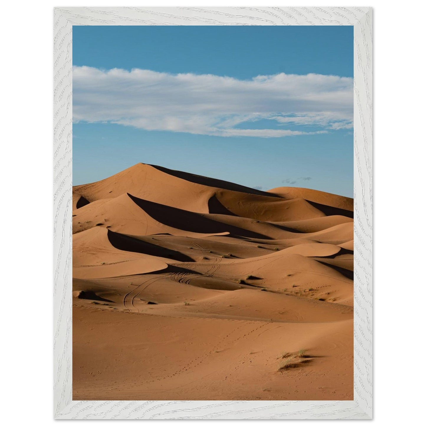Sahara Sandsproduct_typeMy Store93248bd6 - b727 - 4544 - 993b - 9f0844964258ChristianSosa.art